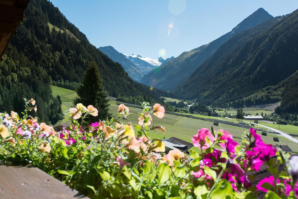 Appartement Haus Mary à Neustift im Stubaital Extérieur photo